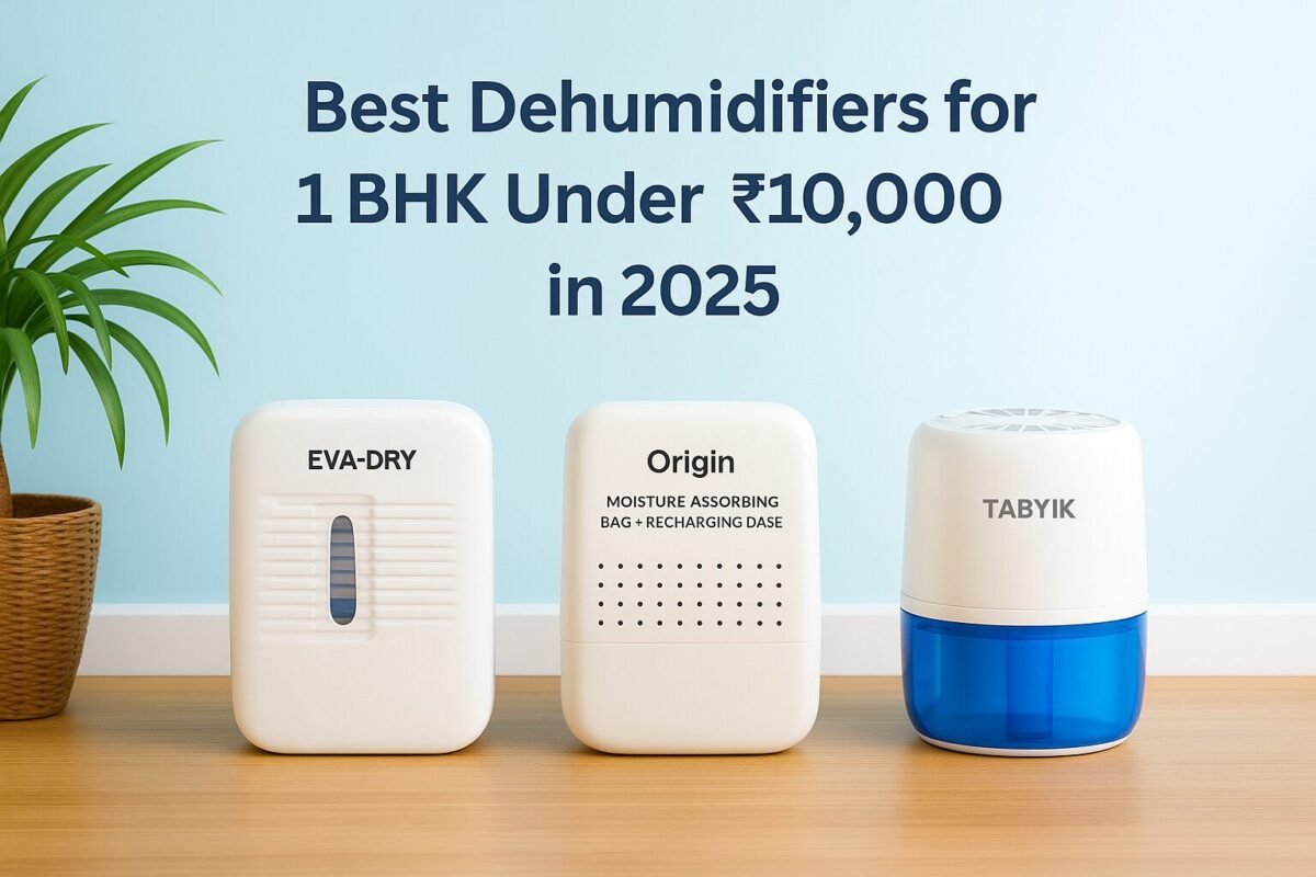 Eva-Dry E-333, Origin mini dehumidifier, and TABYIK 35 oz dehumidifier on a wooden floor with a bright light-blue wall behind and a potted plant to the side